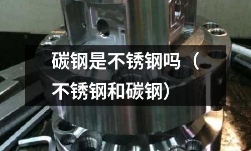 碳鋼是不銹鋼嗎（不銹鋼和碳鋼）