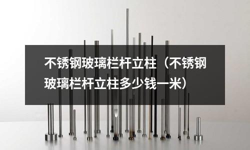 不銹鋼玻璃欄桿立柱(不銹鋼玻璃欄桿立柱多少錢(qián)一米)