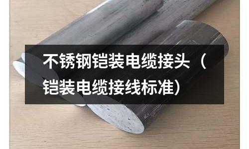 不銹鋼鎧裝電纜接頭(鎧裝電纜接線標(biāo)準(zhǔn))