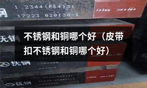 不銹鋼和銅哪個好（皮帶扣不銹鋼和銅哪個好）