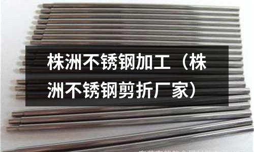 株洲不銹鋼加工(株洲不銹鋼剪折廠家)