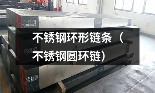 不銹鋼環形鏈條(不銹鋼圓環鏈)