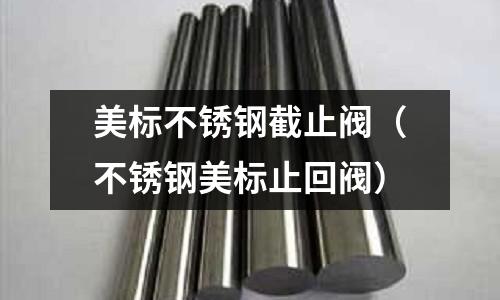 美標不銹鋼截止閥(不銹鋼美標止回閥)