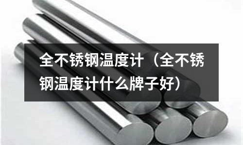 全不銹鋼溫度計(全不銹鋼溫度計什么牌子好)