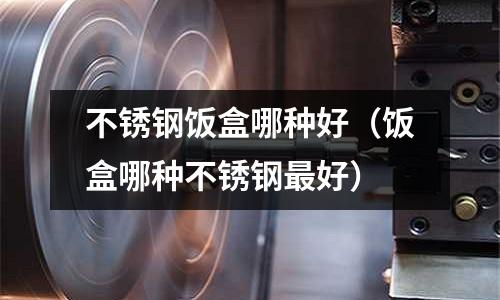 不銹鋼飯盒哪種好(飯盒哪種不銹鋼最好)