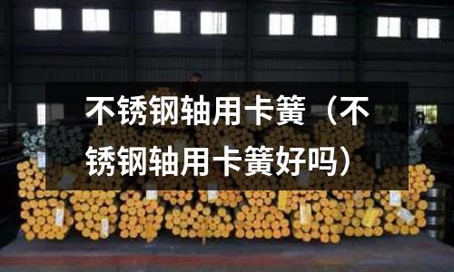 不銹鋼軸用卡簧（不銹鋼軸用卡簧好嗎）