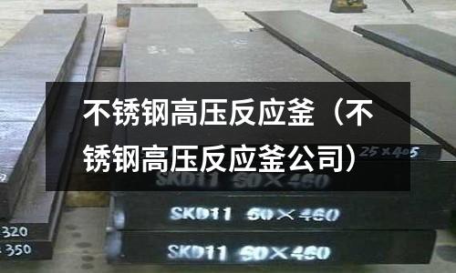 不銹鋼高壓反應(yīng)釜(不銹鋼高壓反應(yīng)釜公司)
