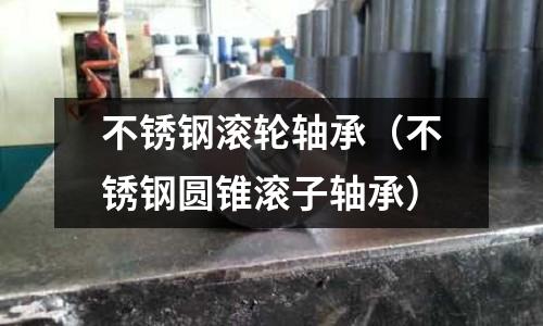 不銹鋼滾輪軸承（不銹鋼圓錐滾子軸承）