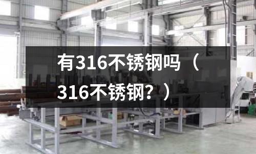有316不銹鋼嗎(316不銹鋼?)