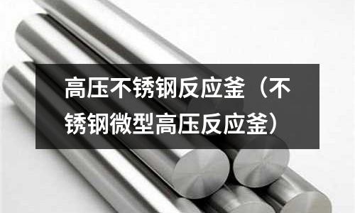 高壓不銹鋼反應釜（不銹鋼微型高壓反應釜）