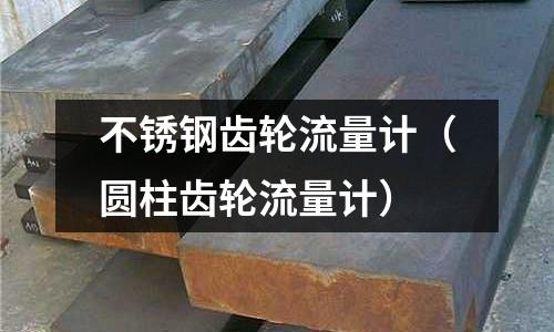 不銹鋼齒輪流量計（圓柱齒輪流量計）