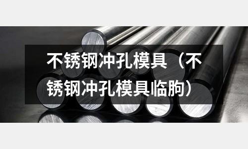 不銹鋼沖孔模具(不銹鋼沖孔模具臨朐)