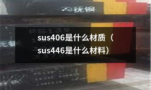 sus406是什么材質(sus446是什么材料)