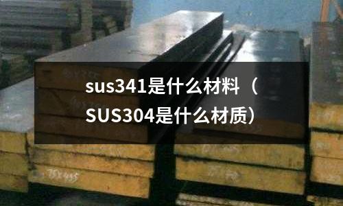 sus341是什么材料(SUS304是什么材質)