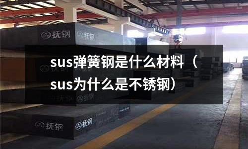 sus彈簧鋼是什么材料(sus為什么是不銹鋼)
