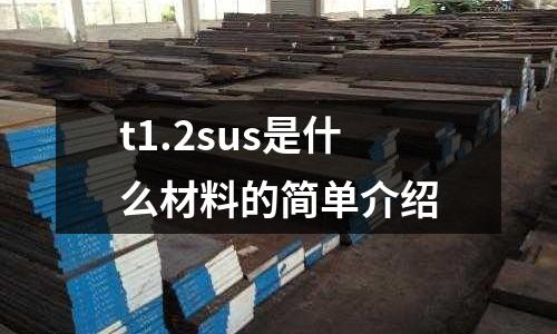 t1.2sus是什么材料的簡(jiǎn)單介紹