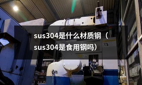 sus304是什么材質(zhì)鋼（sus304是食用鋼嗎）