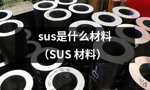 sus是什么材料（SUS 材料）