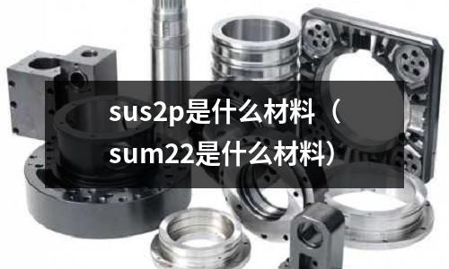 sus2p是什么材料（sum22是什么材料）