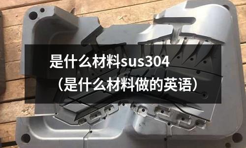 是什么材料sus304（是什么材料做的英語）