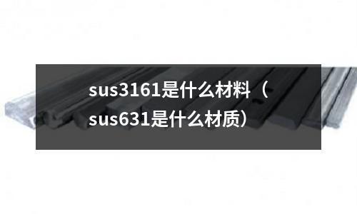 sus3161是什么材料（sus631是什么材質）