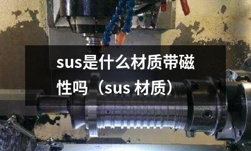 sus是什么材質(zhì)帶磁性嗎(sus 材質(zhì))