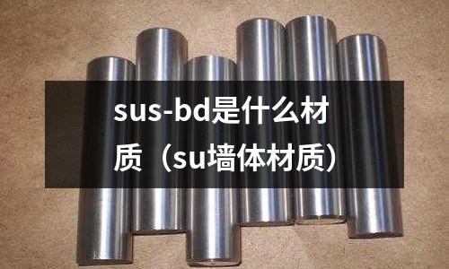 sus-bd是什么材質(su墻體材質)
