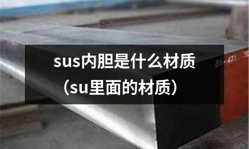 sus內膽是什么材質(su里面的材質)