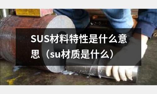 SUS材料特性是什么意思（su材質是什么）