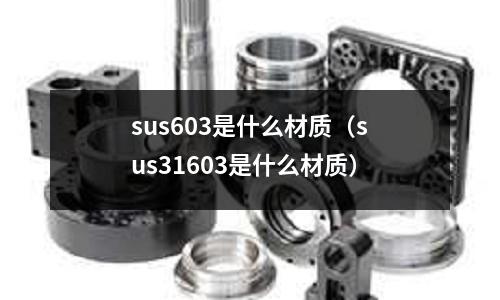 sus603是什么材質(zhì)（sus31603是什么材質(zhì)）