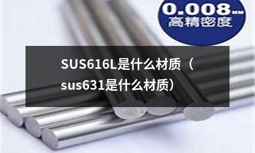 SUS616L是什么材質(sus631是什么材質)