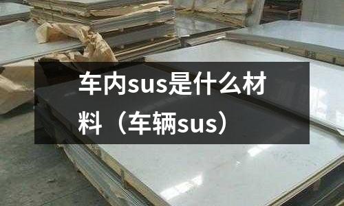 車內(nèi)sus是什么材料（車輛sus）