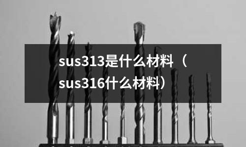 sus313是什么材料（sus316什么材料）