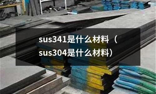 sus341是什么材料（sus304是什么材料）