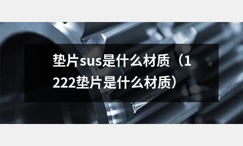 墊片sus是什么材質（1222墊片是什么材質）