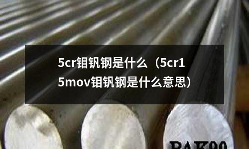 5cr鉬釩鋼是什么（5cr15mov鉬釩鋼是什么意思）