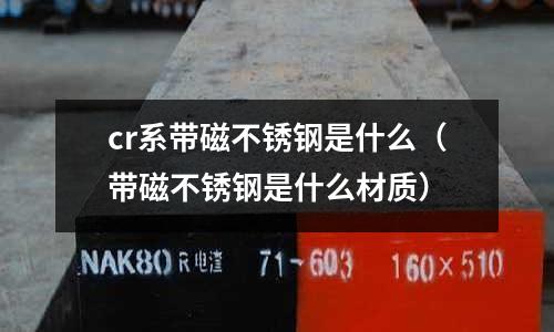 cr系帶磁不銹鋼是什么（帶磁不銹鋼是什么材質）