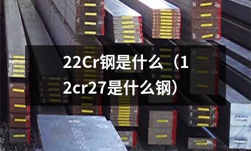 22Cr鋼是什么（12cr27是什么鋼）