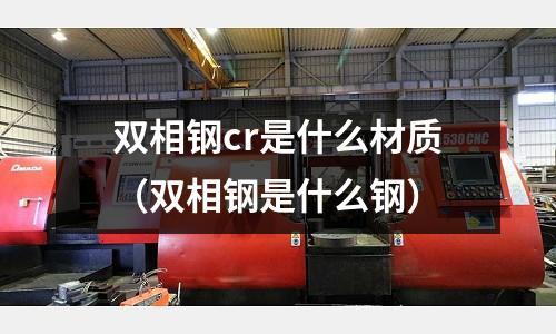 雙相鋼cr是什么材質（雙相鋼是什么鋼）