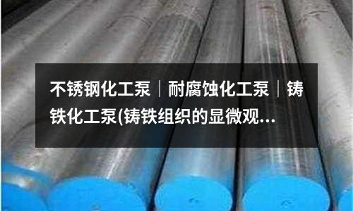 不銹鋼化工泵｜耐腐蝕化工泵｜鑄鐵化工泵(鑄鐵組織的顯微觀察實驗報告范文)