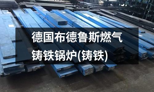 德國布德魯斯燃氣鑄鐵鍋爐(鑄鐵)