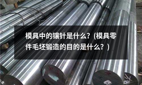 模具中的鑲針是什么？(模具零件毛坯鍛造的目的是什么？)
