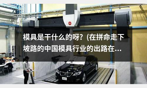 模具是干什么的呀？(在拼命走下坡路的中國模具行業的出路在哪里啊？)