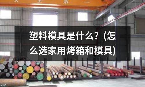 塑料模具是什么？(怎么選家用烤箱和模具)