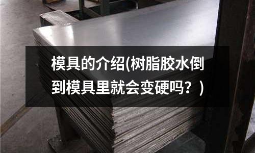 模具的介紹(樹脂膠水倒到模具里就會變硬嗎？)