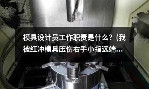 模具設計員工作職責是什么？(我被紅沖模具壓傷右手小指遠端粗隆外緣骨折能評定傷殘十級嗎？)