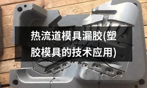 熱流道模具漏膠(塑膠模具的技術(shù)應(yīng)用)