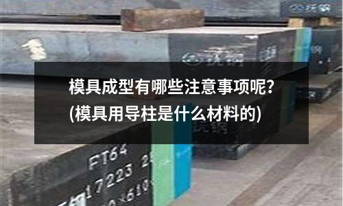 模具成型有哪些注意事項呢？(模具用導柱是什么材料的)