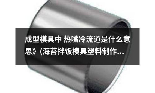 成型模具中 熱嘴冷流道是什么意思》(海苔拌飯模具塑料制作的對身體有沒有害處？)