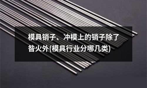 模具銷子、沖模上的銷子除了昝火外(模具行業分哪幾類)
